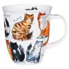 Krus med katte Messy Cats Dunoon Nevis